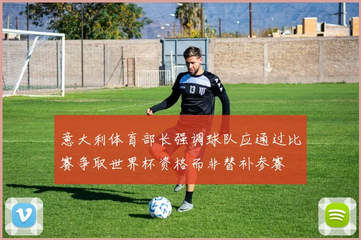 意大利体育部长强调球队应通过比赛争取世界杯资格而非替补参赛